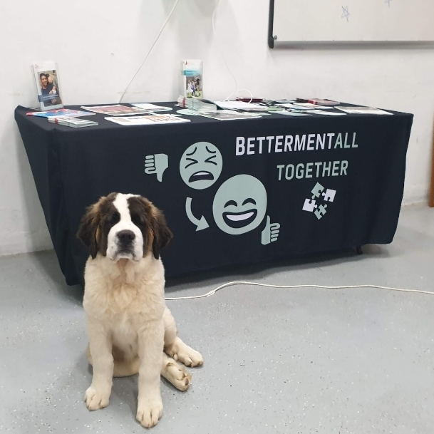 Picture of a cute dog in front of bettermentall table